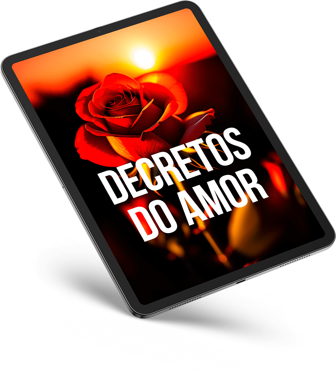 DECRETOS DO AMOR