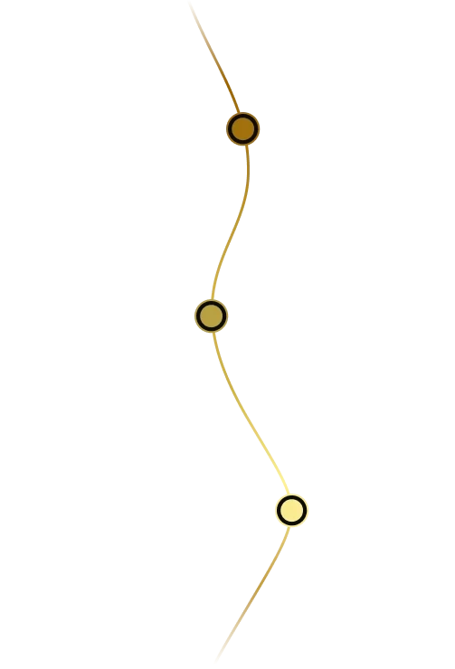 mobile_linha_do_tempo_crop